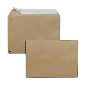 RAJA Enveloppe Premium Kraft blond format C4 229 x 324 mm sans fenêtre 90g- bande autoadhésive (lot de 250) RAJA Enveloppe Premium Kraft blond format C4 229 x 324 mm sans fenêtre 90g- bande autoadhésive (lot de 250)