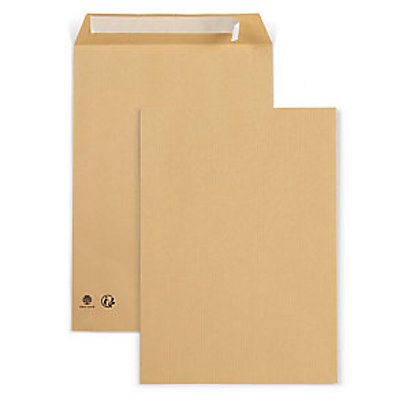 RAJA Enveloppe recyclée kraft brun C4 229 x 324 mm 90g sans fenêtre fermeture bande auto-adhésive - Boîte de 250