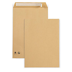 RAJA Enveloppe recyclée kraft brun C5 162 x 229 mm 90g sans fenêtre fermeture bande auto-adhésive - Boîte de 500 RAJA Enveloppe recyclée kraft brun C5 162 x 229 mm 90g sans fenêtre fermeture bande auto-adhésive - Boîte de 500