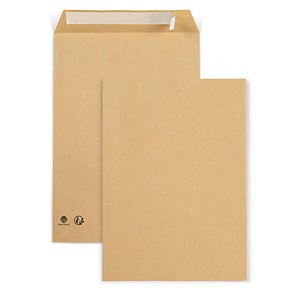 RAJA Enveloppe recyclée kraft brun format C4 - 229 x 324 mm 90g sans fenêtre - Bande autoadhésive
