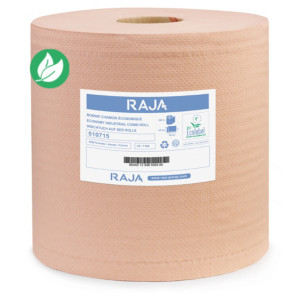 RAJA Essuie-tout papier recyclé double épaisseur - Bobine chamois 1000 feuilles 26 x 30 cm - 510715 - Lot de 2 rouleaux de 300 m RAJA Essuie-tout papier recyclé double épaisseur - Bobine chamois 1000 feuilles 26 x 30 cm - 510715 - Lot de 2 rouleaux de 300 m