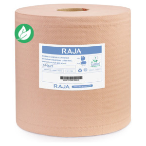 RAJA Essuie-tout papier recyclé double épaisseur - Bobine chamois 800 feuilles 26 x 30 cm - 510575 - Lot de 2 rouleaux de 240 m RAJA Essuie-tout papier recyclé double épaisseur - Bobine chamois 800 feuilles 26 x 30 cm - 510575 - Lot de 2 rouleaux de 240 m