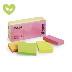 RAJA Foglietti adesivi riposizionabili in carta riciclata, 38 x 51 mm, Blocchetti da 100 foglietti, Colori neon assortiti (confezione 12 pezzi) RAJA Foglietti adesivi riposizionabili in carta riciclata, 38 x 51 mm, Blocchetti da 100 foglietti, Colori neon assortiti (confezione 12 pezzi)