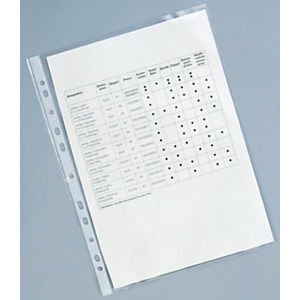 RAJA Funda perforada, A4, polipropileno de 120 micras, 11 orificios, rugoso, transparente RAJA Funda perforada, A4, polipropileno de 120 micras, 11 orificios, rugoso, transparente