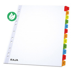 RAJA Intercalaires mensuels A4 en bristol 170g blanc - 12 divisions couleur