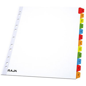 RAJA Intercalaires mensuels A4+ en bristol 170g blanc - 12 divisions couleur