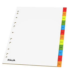RAJA Intercalaires mensuels A4 en polypropylène gris - 12 divisions couleur