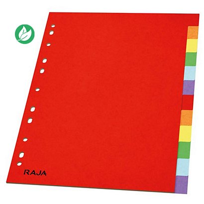RAJA Intercalaires neutres A4 en carte standard 160g couleur - 12 onglets