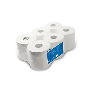 RAJA Mini Jumbo Rollo de papel higiénico, 2 capas, 524 hojas, 90 mm, blanco RAJA Mini Jumbo Rollo de papel higiénico, 2 capas, 524 hojas, 90 mm, blanco
