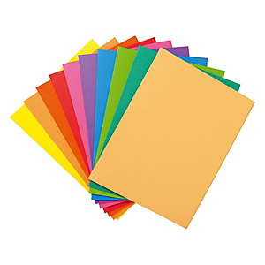 RAJA Pack 100 chemises dossiers + 200 sous-chemises – Assortis vifs RAJA Pack 100 chemises dossiers + 200 sous-chemises – Assortis vifs