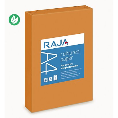 RAJA Papier A4 Coloured Paper - 80g - Ramette de 500 feuilles - Orange - 1