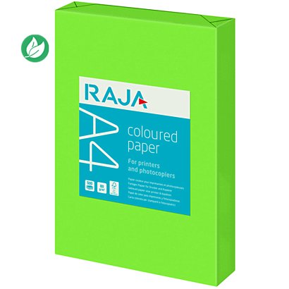RAJA Papier A4 Coloured Paper - 80g - Ramette de 500 feuilles - Vert Menthe