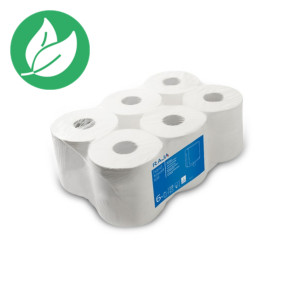 RAJA Papier toilette double épaisseur Mini Jumbo - 12 bobines de 524 feuilles 160 m RAJA Papier toilette double épaisseur Mini Jumbo - 12 bobines de 524 feuilles 160 m