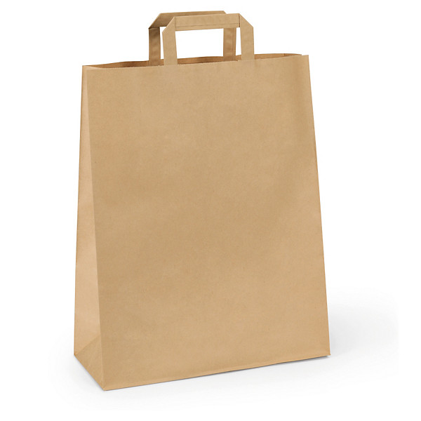 RAJA plain brown paper carrier bags with folded handles - 1
