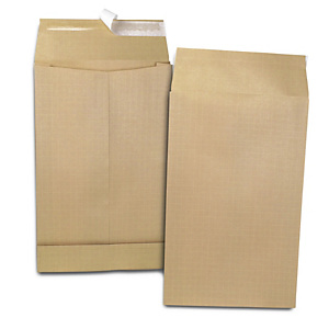 RAJA Pochette kraft brun 300 x 470 mm 120g sans fenêtre - soufflet 7 cm - autocollante bande protectrice - Lot de 50 RAJA Pochette kraft brun 300 x 470 mm 120g sans fenêtre - soufflet 7 cm - autocollante bande protectrice - Lot de 50