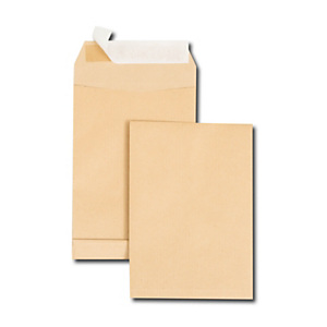 RAJA Pochette kraft brun C5 162 x 229 mm 90g sans fenêtre - soufflet 3 cm - autocollante bande protectrice - Lot de 250 RAJA Pochette kraft brun C5 162 x 229 mm 90g sans fenêtre - soufflet 3 cm - autocollante bande protectrice - Lot de 250