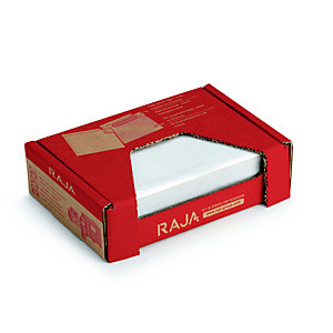 RAJA Pochette porte-documents Eco adhésive - Documents ci-inclus- l.int.165 x H.115 cm - Pour format A4 plié en 4 - Lot de 250