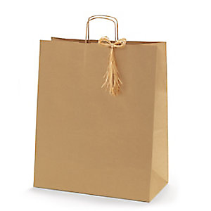 RAJA Sac kraft à poignées torsadées l.40 x H.45,75 x soufflet 19 cm - Brun - carton 100 unités RAJA Sac kraft à poignées torsadées l.40 x H.45,75 x soufflet 19 cm - Brun - carton 100 unités