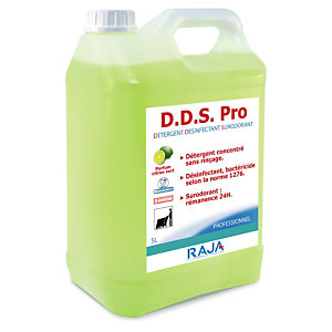 RAJA Détergent Désinfectant Surodorant DDS Pro - Parfum citron vert - 5 L