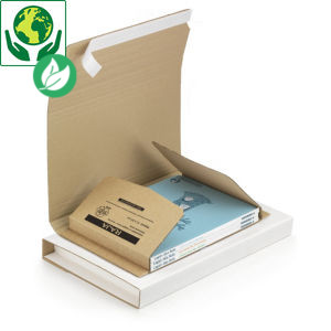 RAJA Étui emballage postal carton brun avec fermeture adhésive - 43 x 31 cm - Format A3 cadre, tableau - Lot de 25