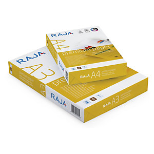 Ramette papier haute qualite RAJA A4 80g