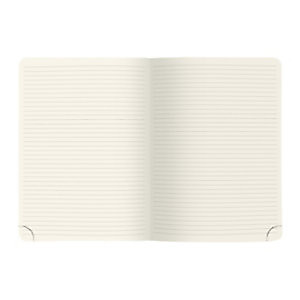 Recharge carnet ligné A5 pour agenda de bureau All in One Easy time 21 spiralé 21 x 15 cm Recharge carnet ligné A5 pour agenda de bureau All in One Easy time 21 spiralé 21 x 15 cm