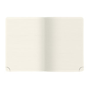 Recharge carnet ligné A5 pour agenda de bureau All in One Easy time 21 spiralé 21 x 15 cm