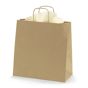 Recycled Kraft paper carrier bags