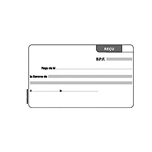 REGISTRES LE DAUPHIN Manifolds autocopiants 'Reçu', double exemplaires 18x10,5 cm, 50 pages (lot de 5) REGISTRES LE DAUPHIN Manifolds autocopiants 'Reçu', double exemplaires 18x10,5 cm, 50 pages (lot de 5)