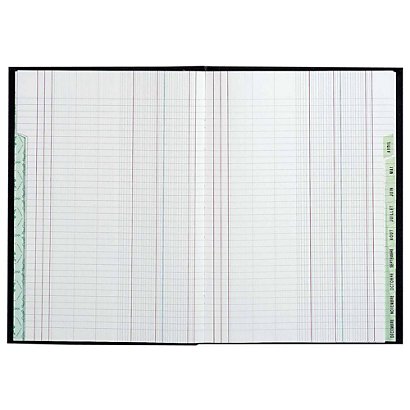 REGISTRES LE DAUPHIN Piqûre Echéancier mensuel - L.29,7xH.21 cm, 96 pages
