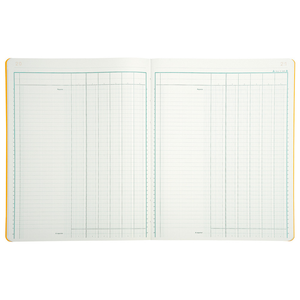 REGISTRES LE DAUPHIN Registre comptable à colonnes 31,5 x 24,5 cm - 6 colonnes par page