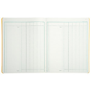 REGISTRES LE DAUPHIN Registre comptable à colonnes 31,5 x 24,5 cm - 6 colonnes par page