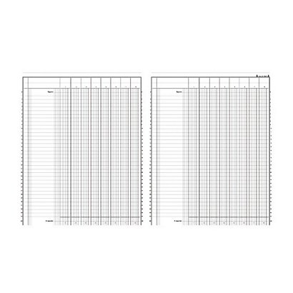 REGISTRES LE DAUPHIN Registre comptable à colonnes 31,5 x 24,5 cm - 8 colonnes par page - 1