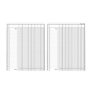 REGISTRES LE DAUPHIN Registre comptable à colonnes 31,5 x 24,5 cm - 8 colonnes par page