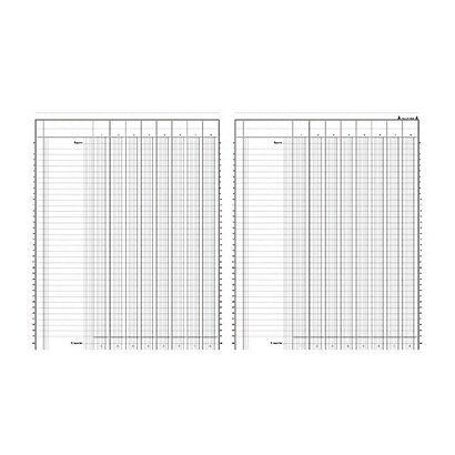 REGISTRES LE DAUPHIN Registre comptable à colonnes 31,5 x 24,5 cm - 8 colonnes par page