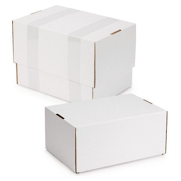 Reinforced White Telescopic Boxes, 550x350x100mm, Pack of 25 - 1