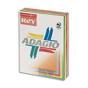 REY INAPA Ramette 100 feuilles x 5 teintes papier couleur intense ADAGIO assortis intenses A4 80g