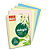 REY INAPA Ramette 100 feuilles x 5 teintes papier couleur pastel & vive ADAGIO assortis pastel&vifs A4 80g - 1