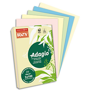 REY INAPA Ramette 100 feuilles x 5 teintes papier couleur pastel & vive ADAGIO assortis pastel&vifs A4 80g