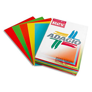 REY INAPA Ramette 50 feuilles x 5 teintes papier couleur intense ADAGIO assortis intenses A3 80g