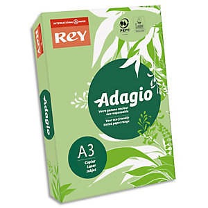 REY INAPA Ramette 500 feuilles papier couleur vive ADAGIO Vert vif A3 80g