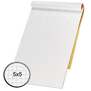 Rhodia Bloc notes orange agrafé 21 x 32 cm - petits carreaux 5x5 - 80 feuilles Rhodia Bloc notes orange agrafé 21 x 32 cm - petits carreaux 5x5 - 80 feuilles