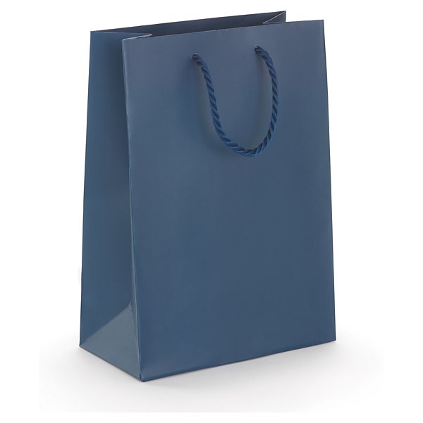 Dárková taška z matného papíru, 300 x 250 x 100 mm stříbrná | RAJA - 11