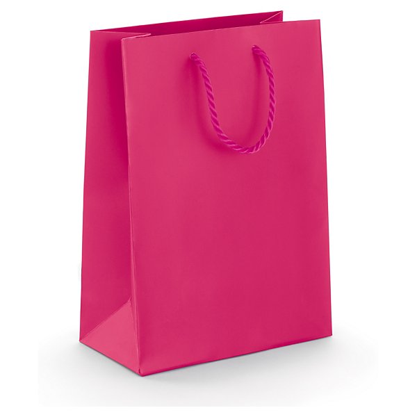 Dárková taška z matného papíru, 300 x 250 x 100 mm stříbrná | RAJA - 12