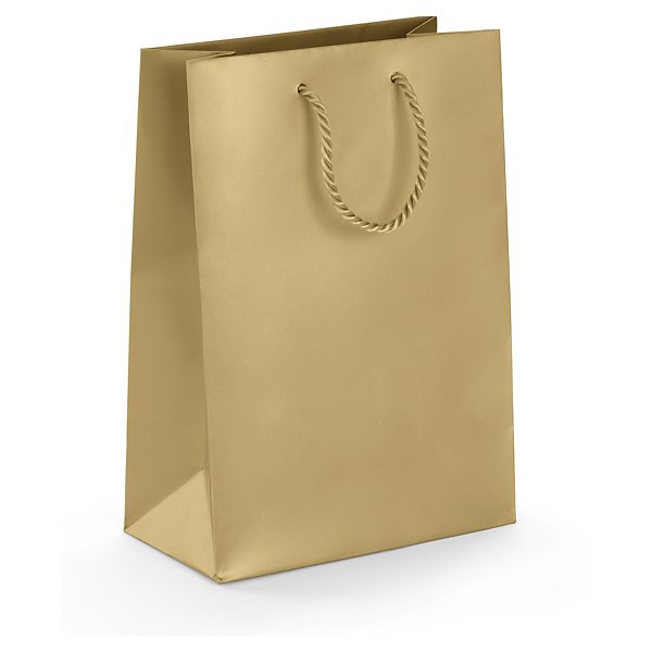 Dárková taška z matného papíru, 300 x 250 x 100 mm stříbrná | RAJA - 13