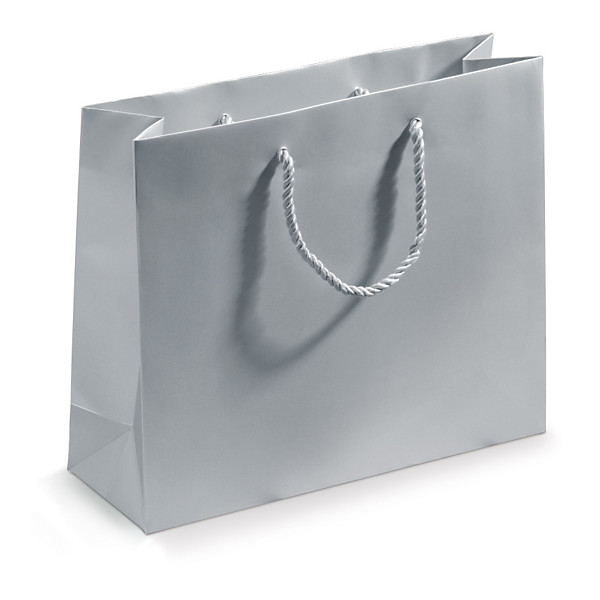 Dárková taška z matného papíru, 300 x 250 x 100 mm stříbrná | RAJA - 1