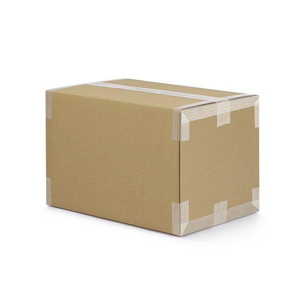 Ruban adhésif polypropylène armé fil à fil 110 microns RAJA - 5