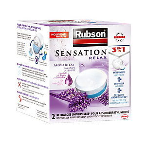 RUBSON Boîte de 2 Tablettes Sensation lavande pour absorbeur d'humidité