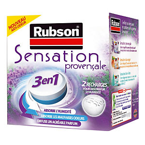 RUBSON Boîte de 2 Tablettes Sensation lavande pour absorbeur d'humidité