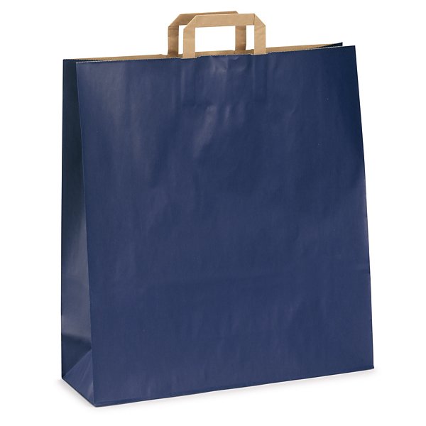 Sac kraft bleu intérieur brun à poignées plates RAJA 45 x 48 x 17 cm - 2